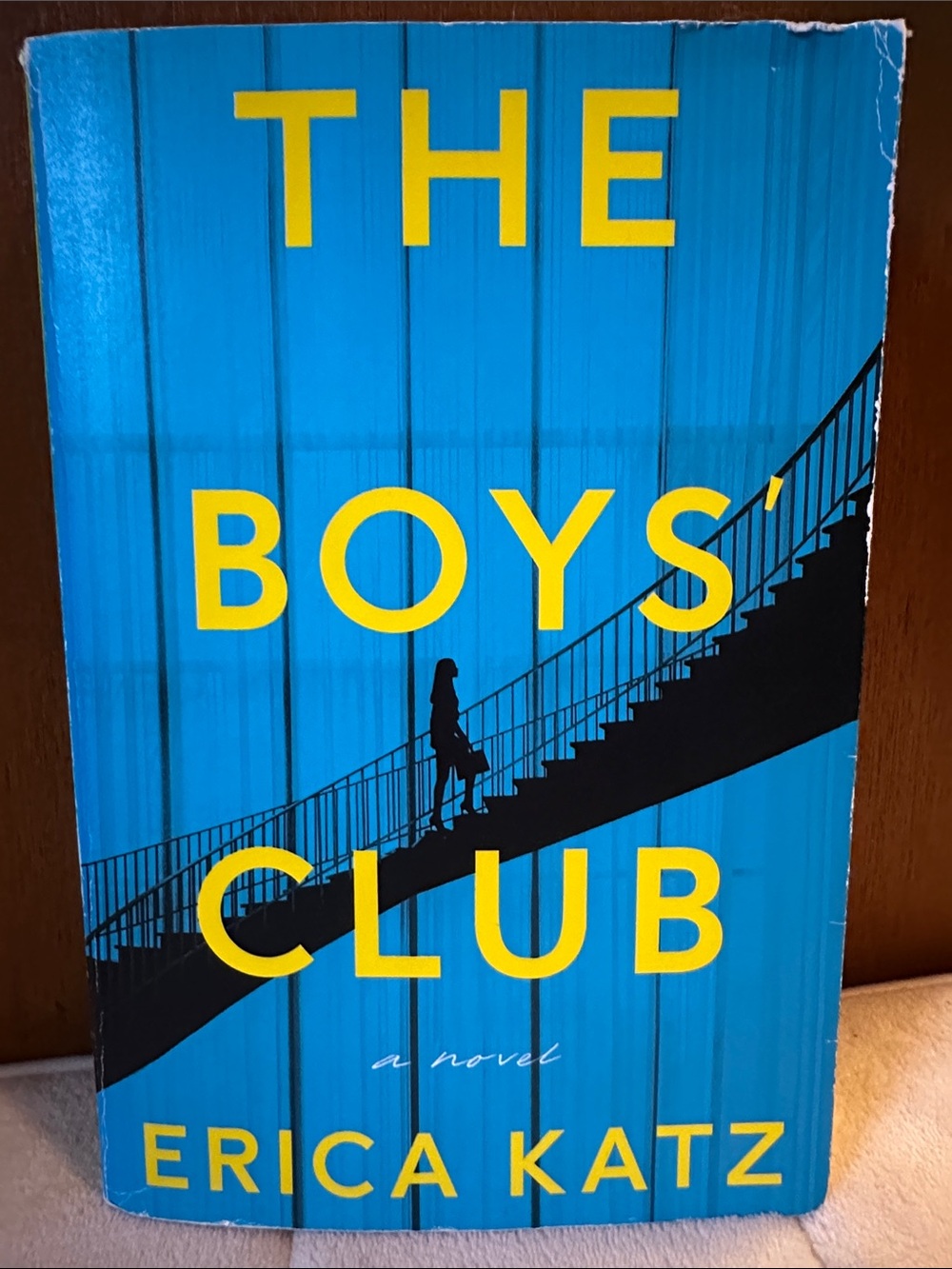 🐸2/$10🐸Thriller the boys club by Erica Katz